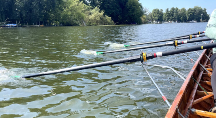 Rudern 4er Havel